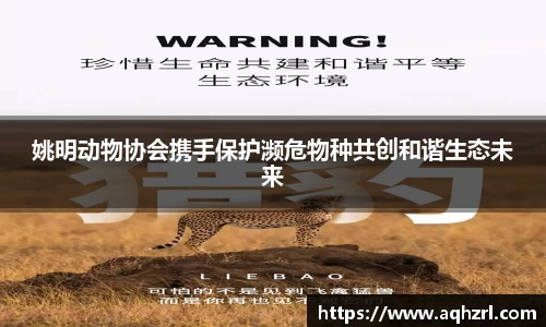 mk体育官网登录平台